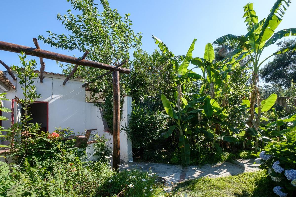 La Rosa Dei Venti Aparthotel Procida Eksteriør bilde