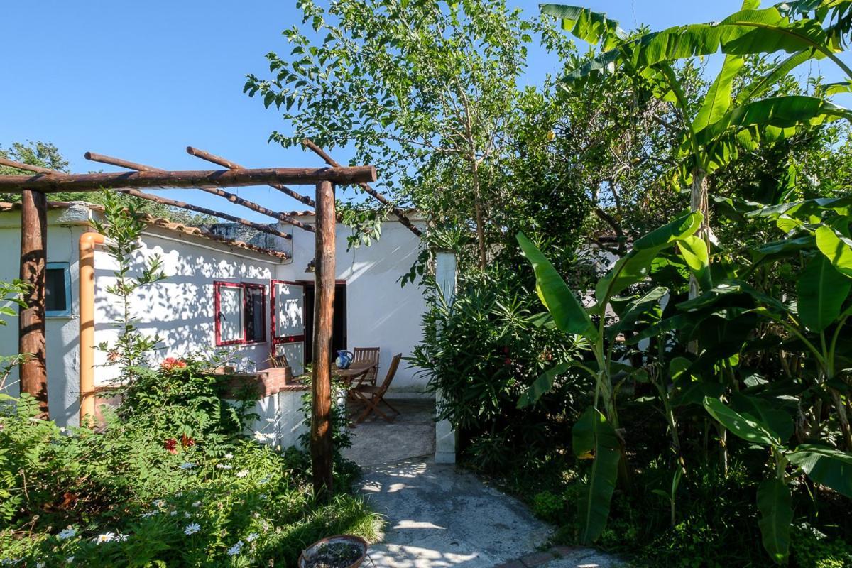 La Rosa Dei Venti Aparthotel Procida Eksteriør bilde