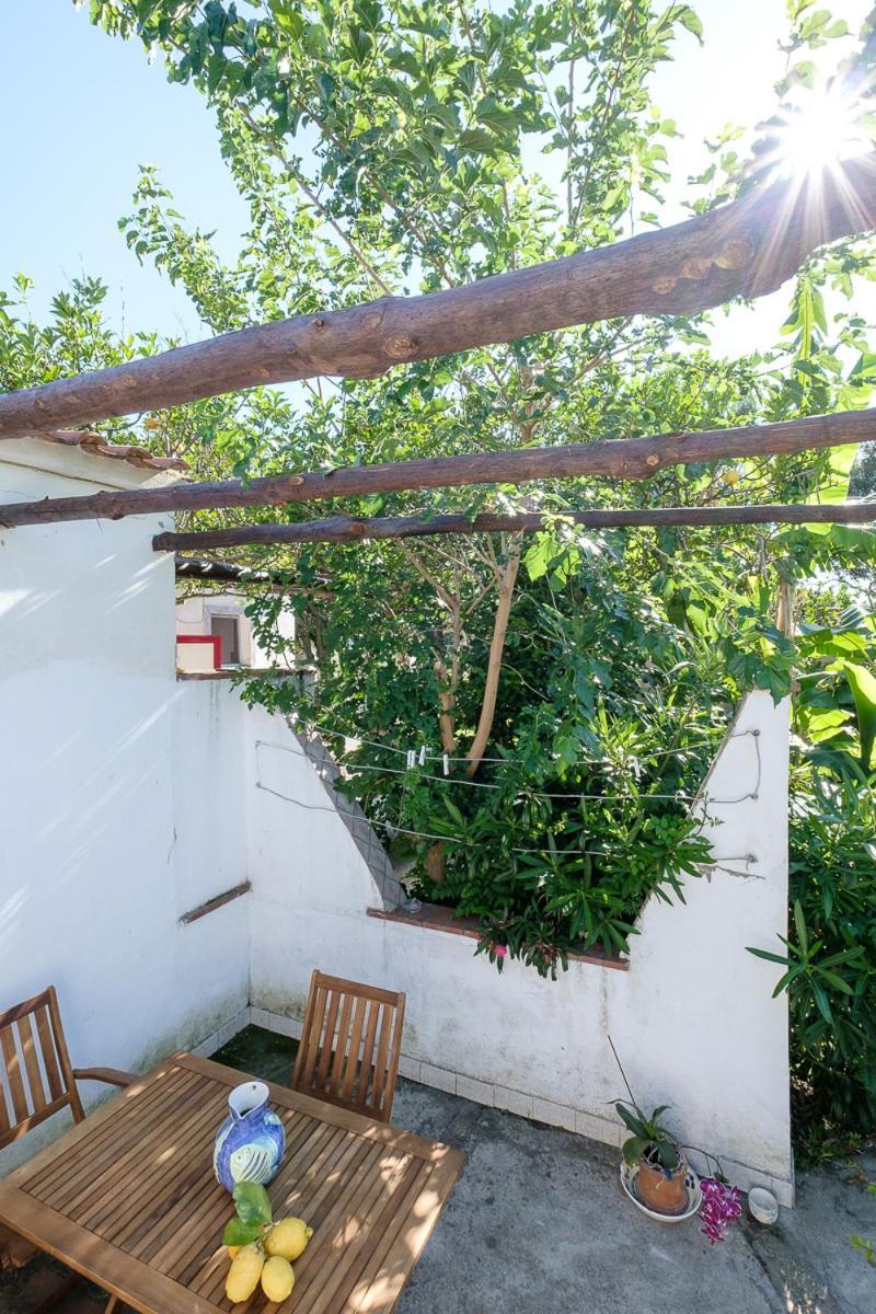 La Rosa Dei Venti Aparthotel Procida Eksteriør bilde